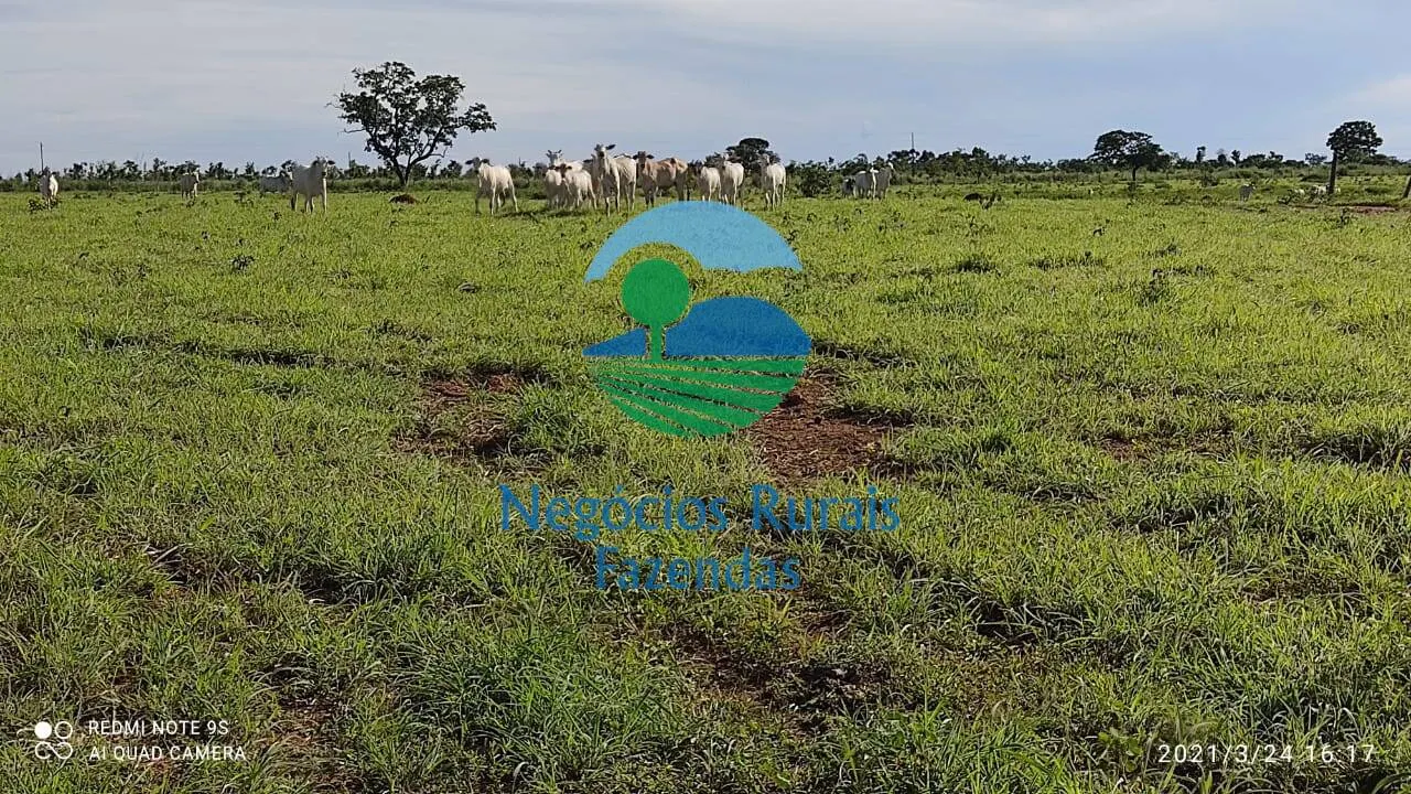 Fazenda à venda de 537 ha em Padre Bernardo, GO, Brasil