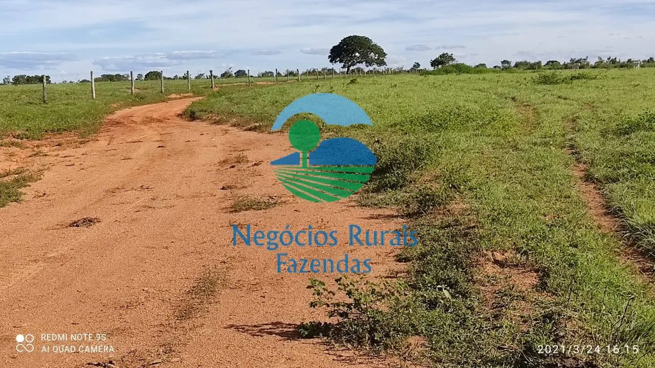 Fazenda à venda de 537 ha em Padre Bernardo, GO, Brasil