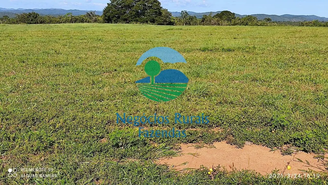 Fazenda à venda de 537 ha em Padre Bernardo, GO, Brasil