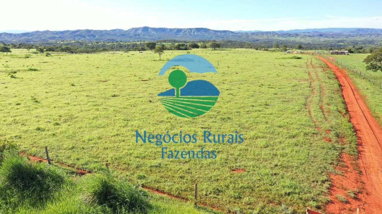 Fazenda à venda de 537 ha em Padre Bernardo, GO, Brasil