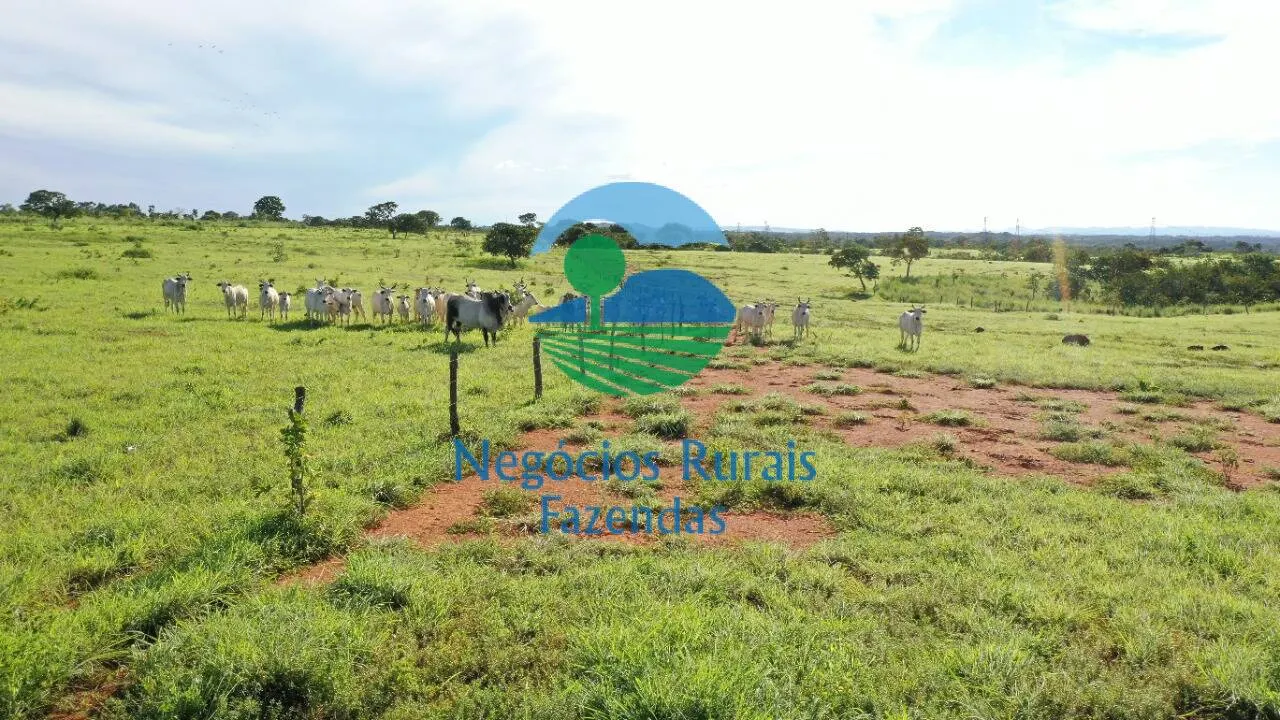 Fazenda à venda de 537 ha em Padre Bernardo, GO, Brasil