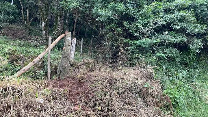 Chácara à venda de 3 ha em Rolante, RS, Brasil