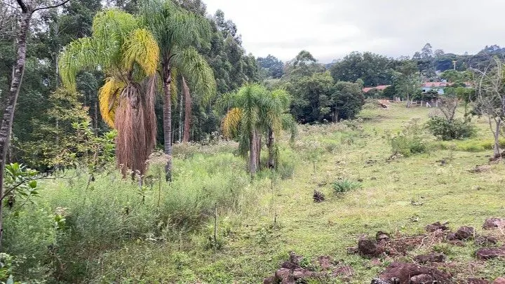 Chácara à venda de 3 ha em Rolante, RS, Brasil
