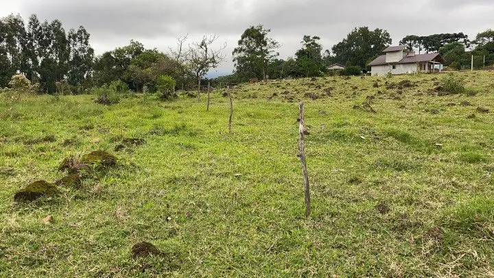 Chácara à venda de 3 ha em Rolante, RS, Brasil