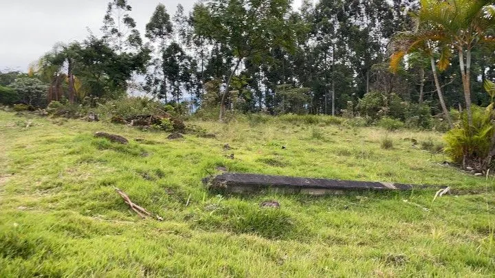 Chácara à venda de 3 ha em Rolante, RS, Brasil