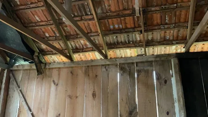 Chácara à venda de 3 ha em Rolante, RS, Brasil