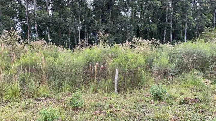 Chácara à venda de 3 ha em Rolante, RS, Brasil