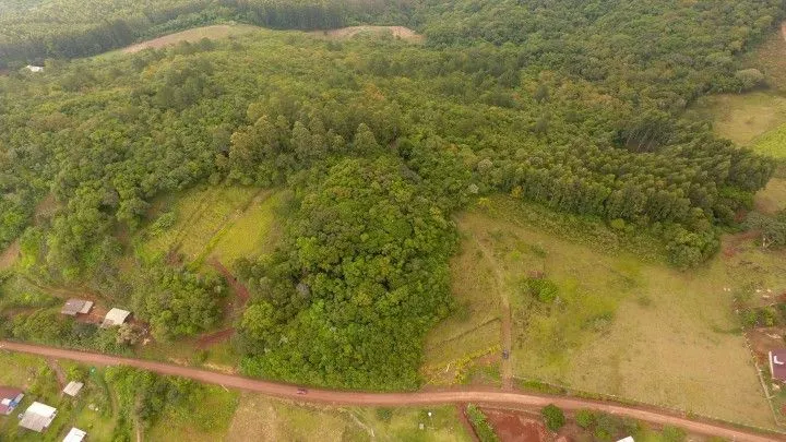 Chácara à venda de 3 ha em Rolante, RS, Brasil