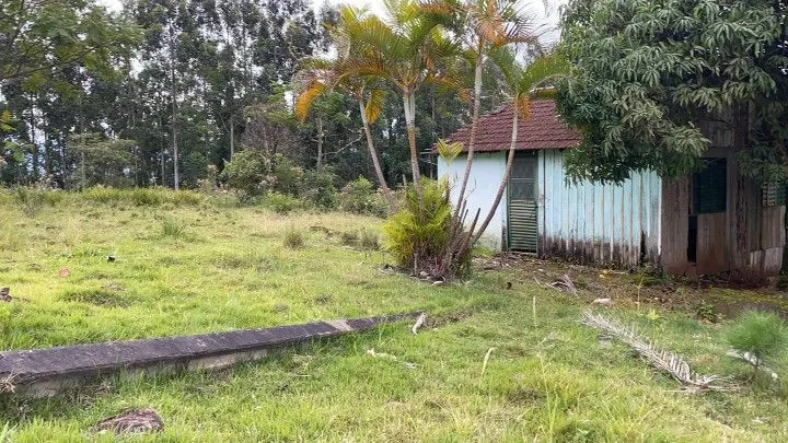 Chácara à venda de 3 ha em Rolante, RS, Brasil