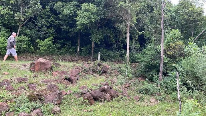 Chácara à venda de 3 ha em Rolante, RS, Brasil