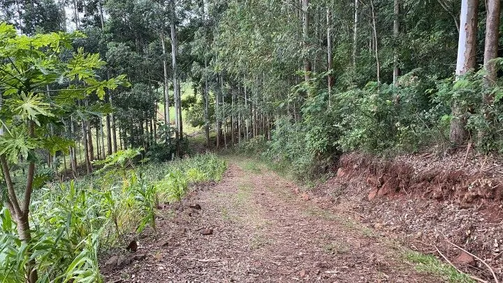 Chácara à venda de 3 ha em Rolante, RS, Brasil