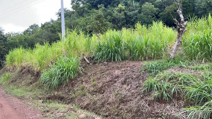 Chácara à venda de 3 ha em Rolante, RS, Brasil