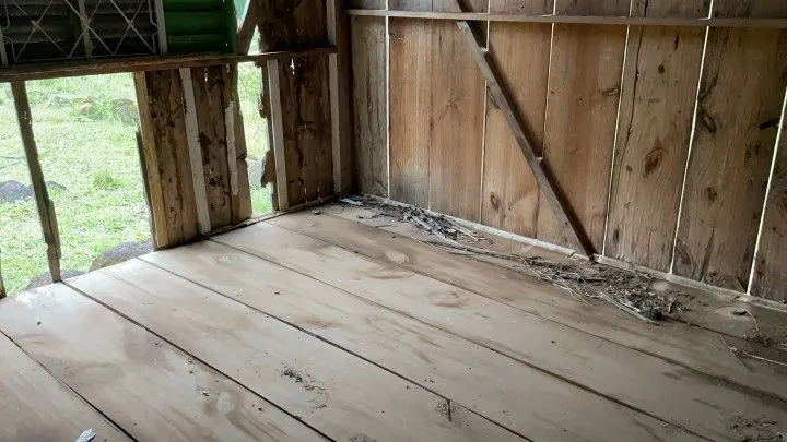 Chácara à venda de 3 ha em Rolante, RS, Brasil