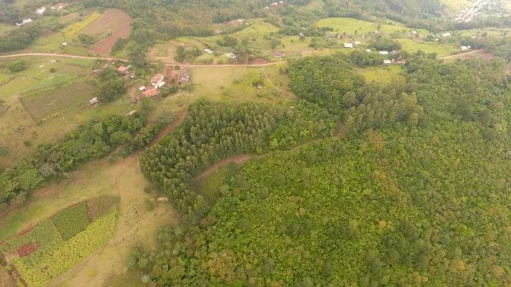 Chácara à venda de 3 ha em Rolante, RS, Brasil