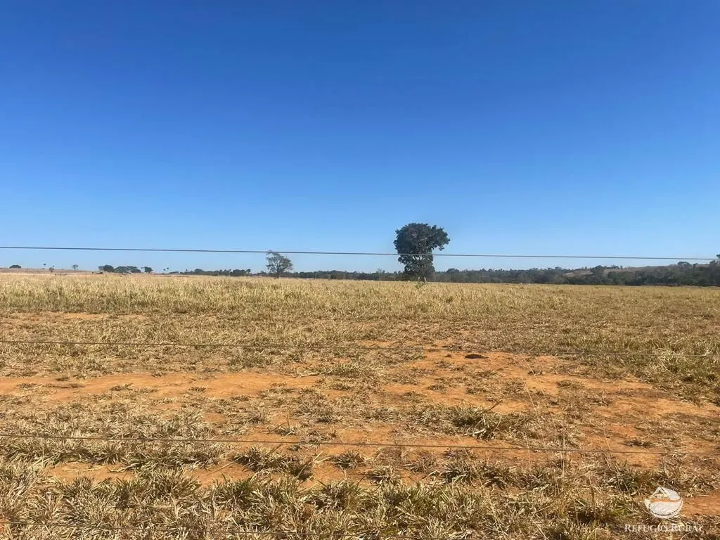 Fazenda à venda de 4.002 ha em São Miguel do Araguaia, GO, Brasil