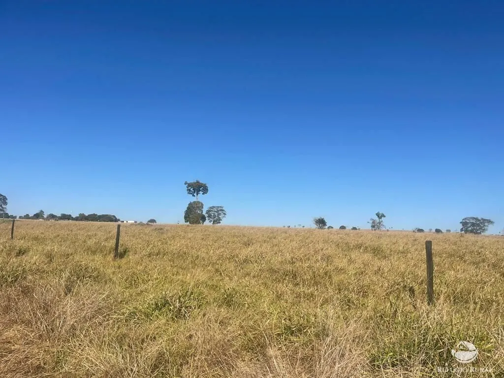 Fazenda à venda de 4.002 ha em São Miguel do Araguaia, GO, Brasil