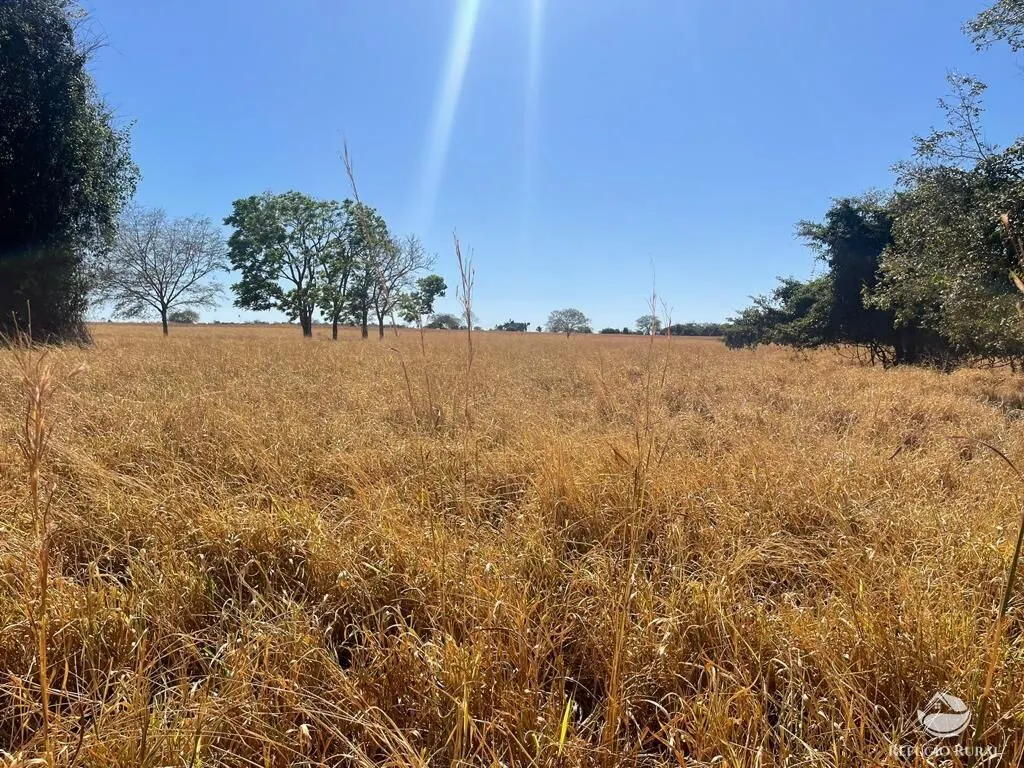 Fazenda à venda de 4.002 ha em São Miguel do Araguaia, GO, Brasil