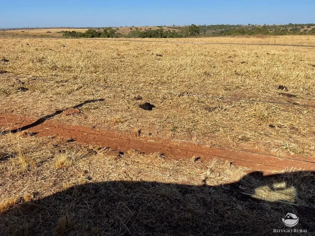 Fazenda à venda de 4.002 ha em São Miguel do Araguaia, GO, Brasil