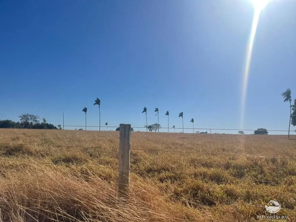Fazenda à venda de 4.002 ha em São Miguel do Araguaia, GO, Brasil