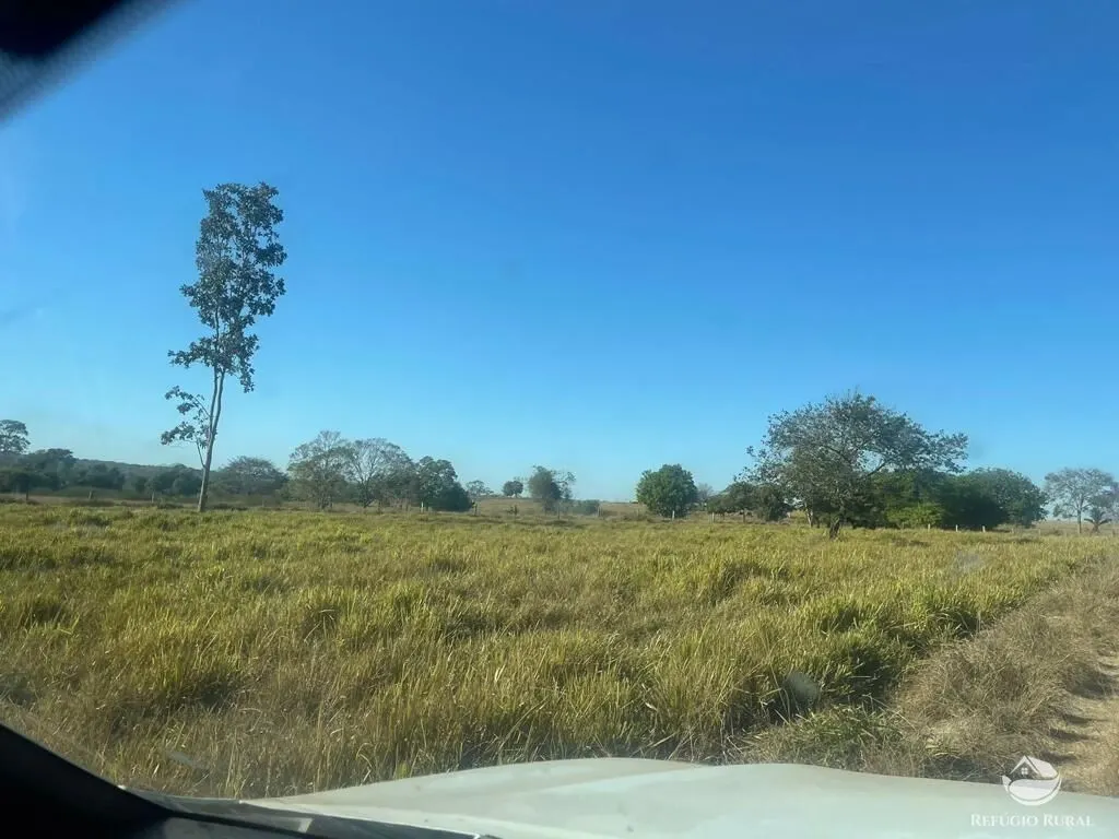 Fazenda à venda de 4.002 ha em São Miguel do Araguaia, GO, Brasil