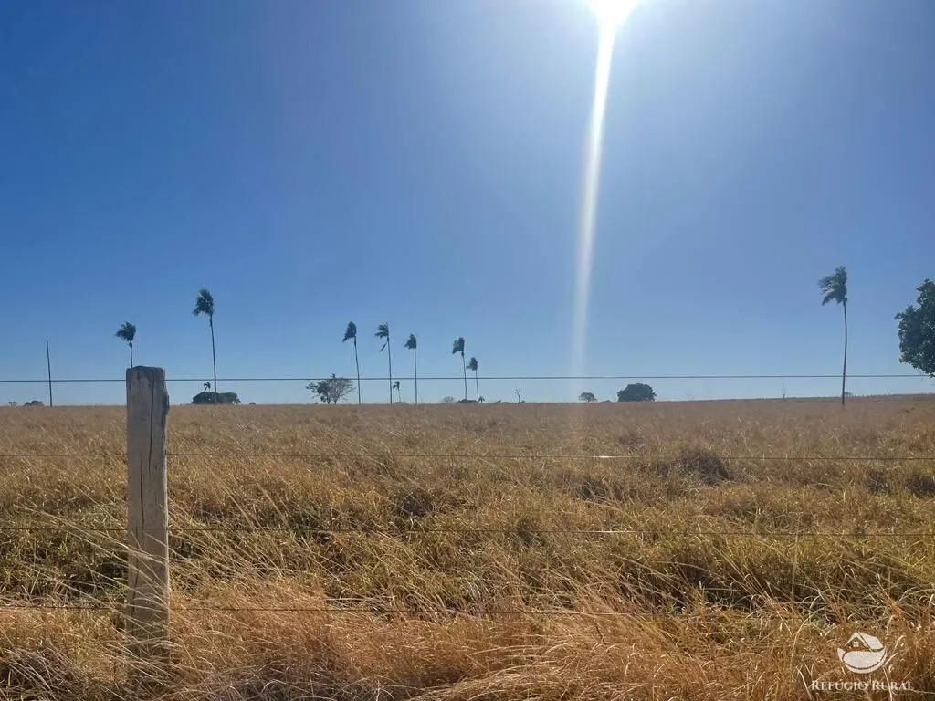 Fazenda à venda de 4.002 ha em São Miguel do Araguaia, GO, Brasil