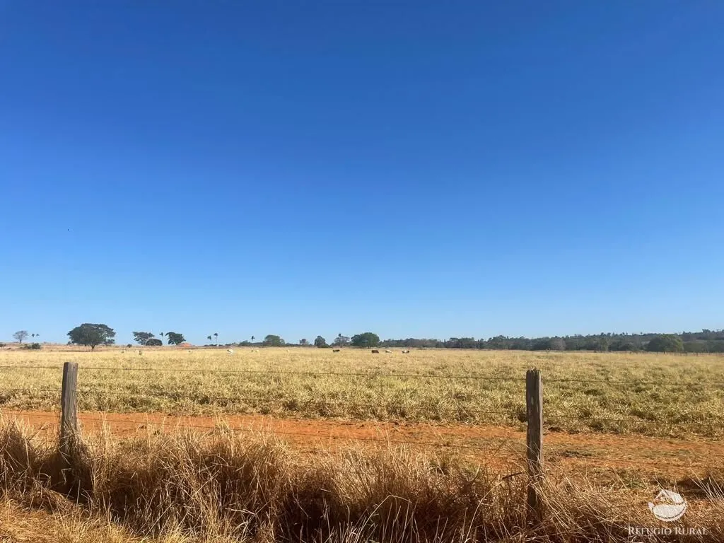 Fazenda à venda de 4.002 ha em São Miguel do Araguaia, GO, Brasil
