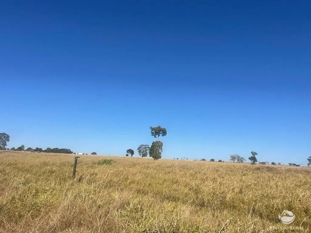 Fazenda à venda de 4.002 ha em São Miguel do Araguaia, GO, Brasil