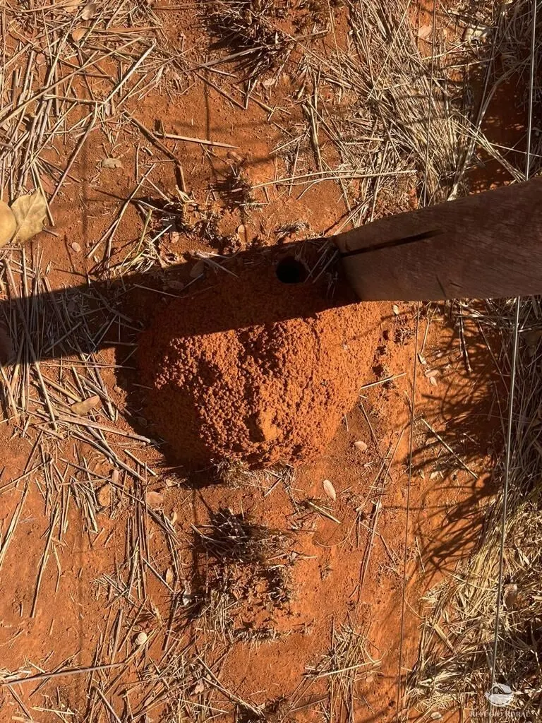 Fazenda à venda de 4.002 ha em São Miguel do Araguaia, GO, Brasil
