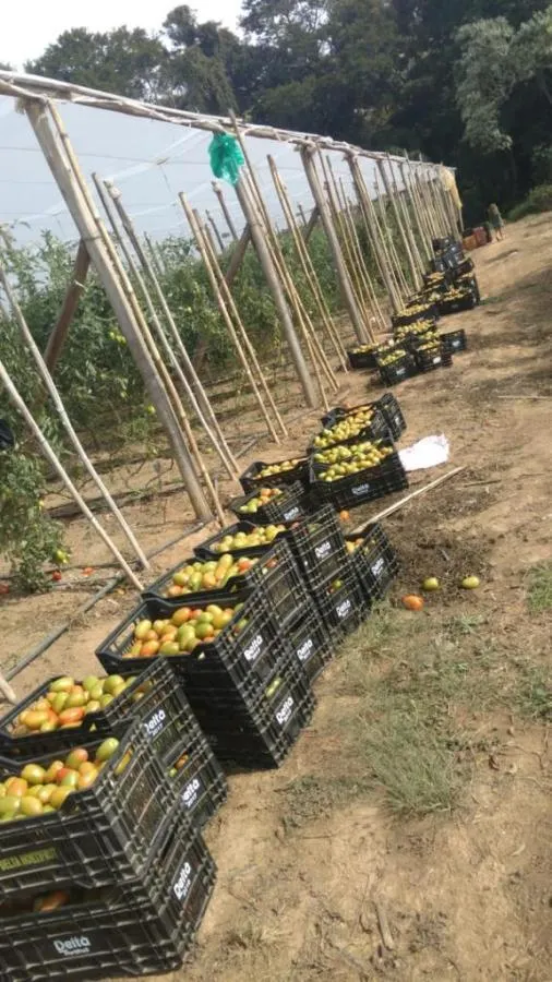 Small farm for sale of 24 acres in São Miguel Arcanjo, SP, Brazil