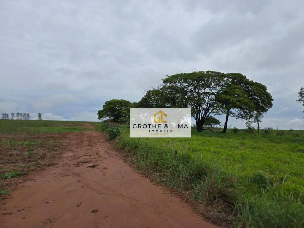 Fazenda à venda e para Arrendar de 56 ha em Uchoa, SP, Brasil