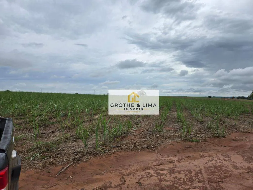 Fazenda à venda e para Arrendar de 56 ha em Uchoa, SP, Brasil