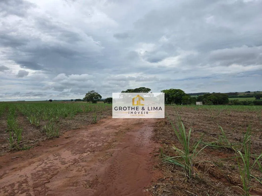 Fazenda à venda e para Arrendar de 56 ha em Uchoa, SP, Brasil