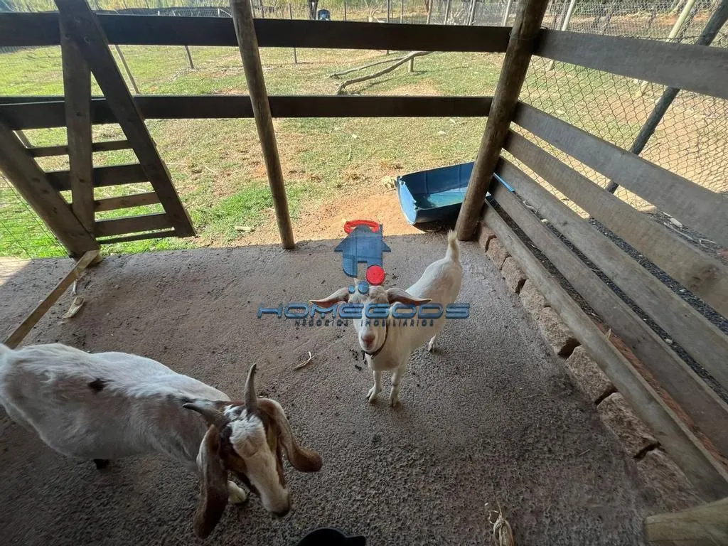 Chácara à venda de 3 ha em Campinas, SP, Brasil