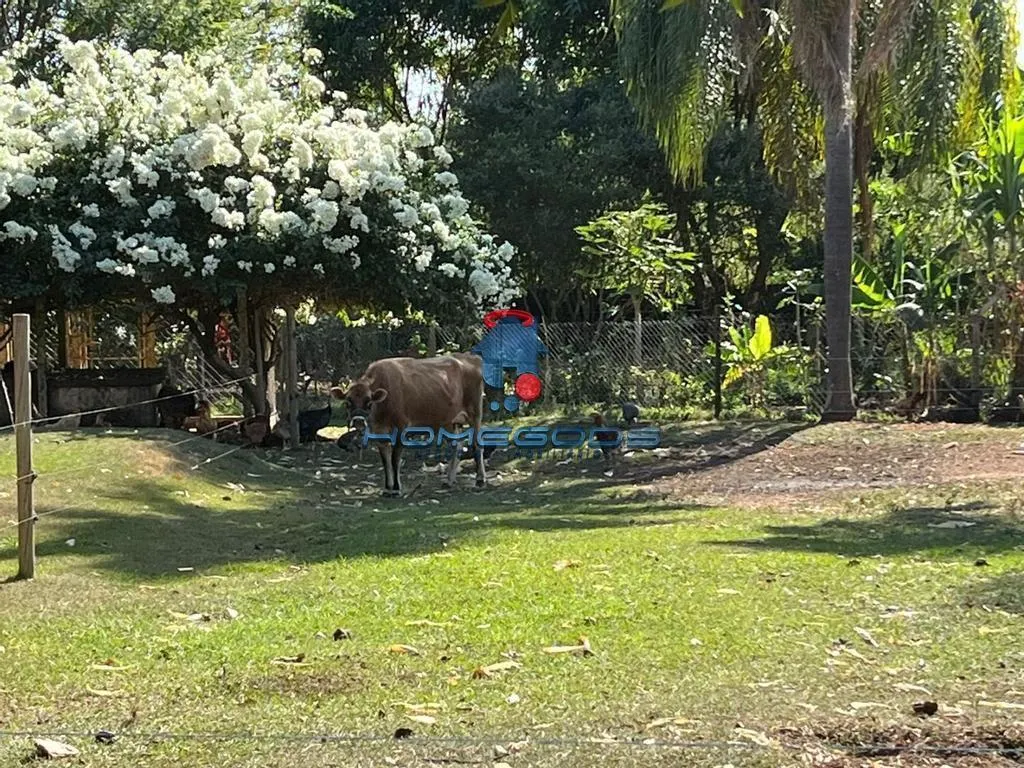 Chácara à venda de 3 ha em Campinas, SP, Brasil