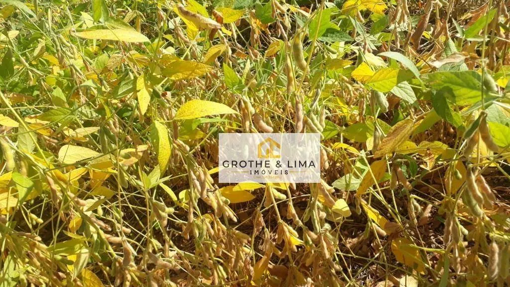 Fazenda à venda de 5.050 ha em Uberlândia, MG, Brasil