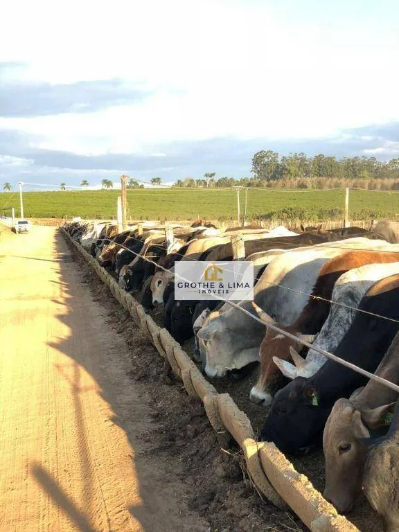 Fazenda à venda de 5.050 ha em Uberlândia, MG, Brasil