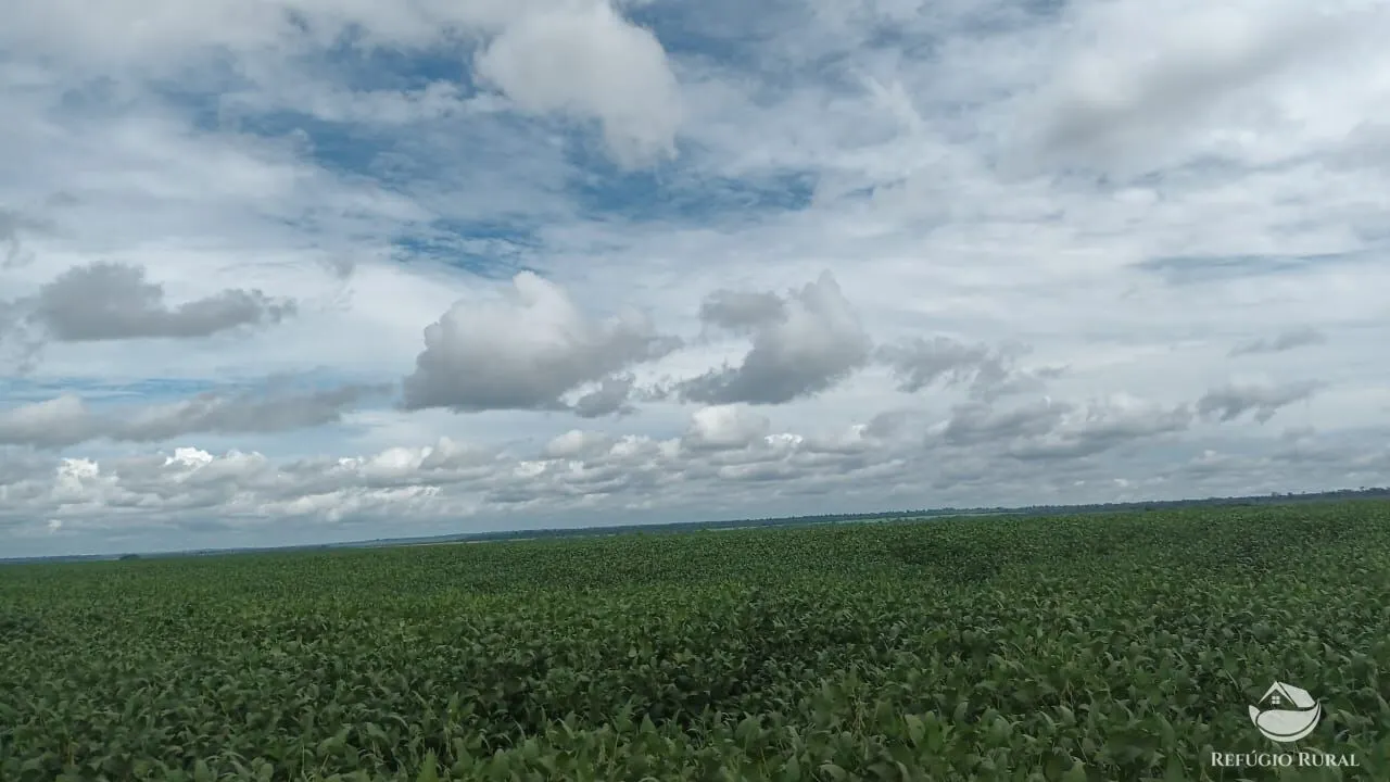 Fazenda à venda de 4.870 ha em Marcelândia, MT, Brasil