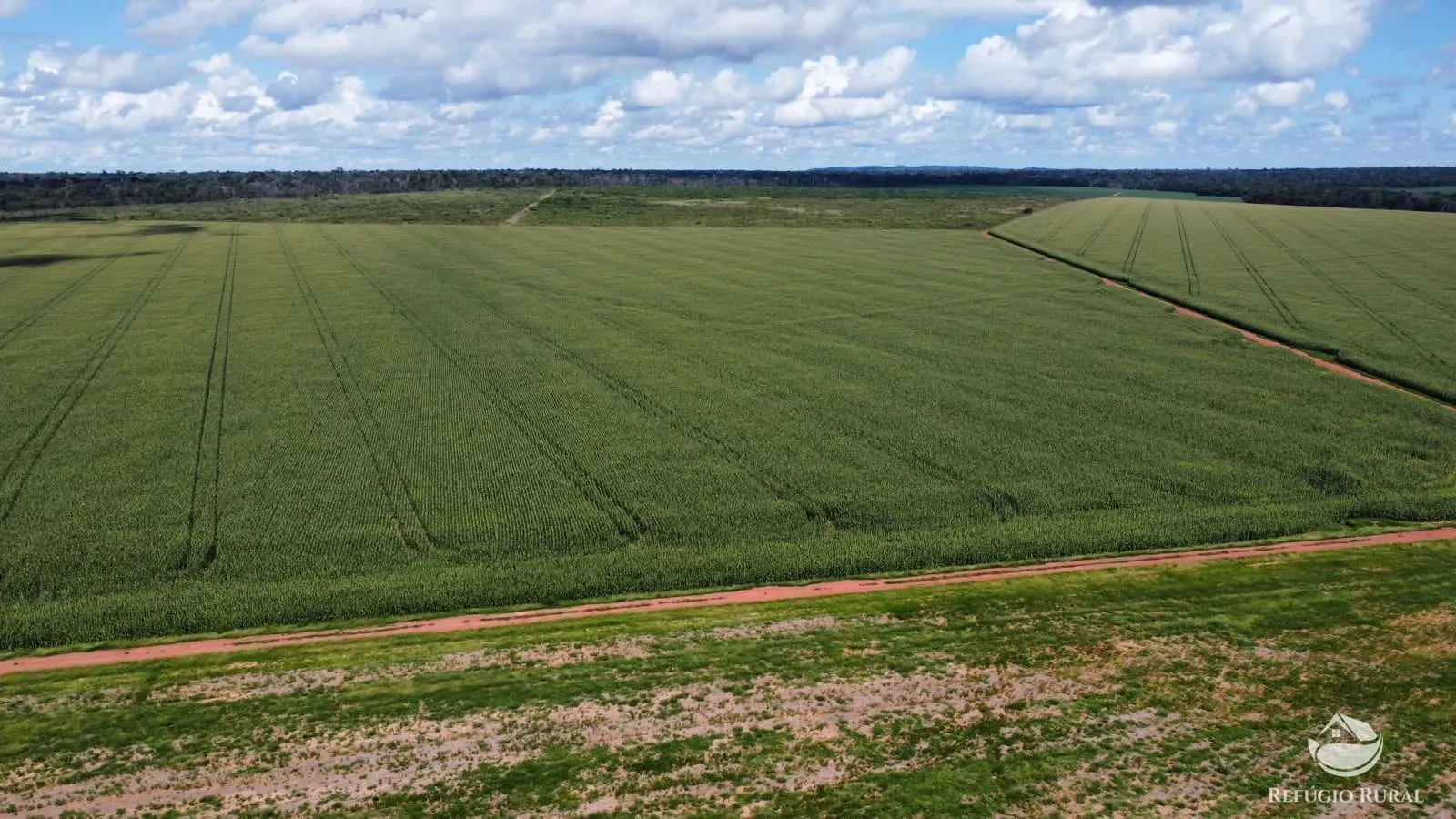 Fazenda à venda de 4.870 ha em Marcelândia, MT, Brasil
