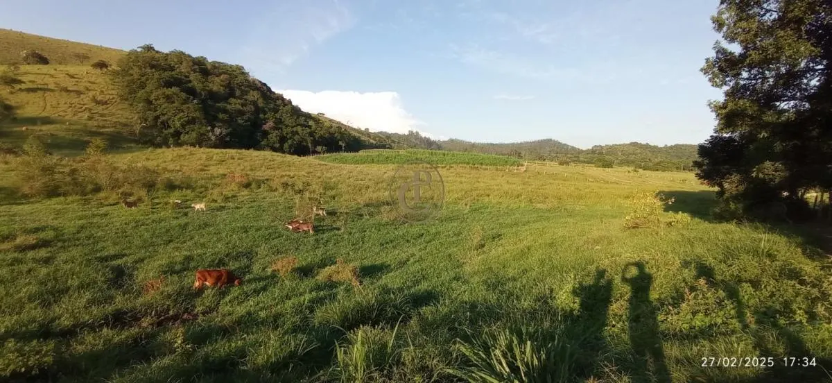 Fazenda à venda de 260 ha em São José dos Campos, SP, Brasil