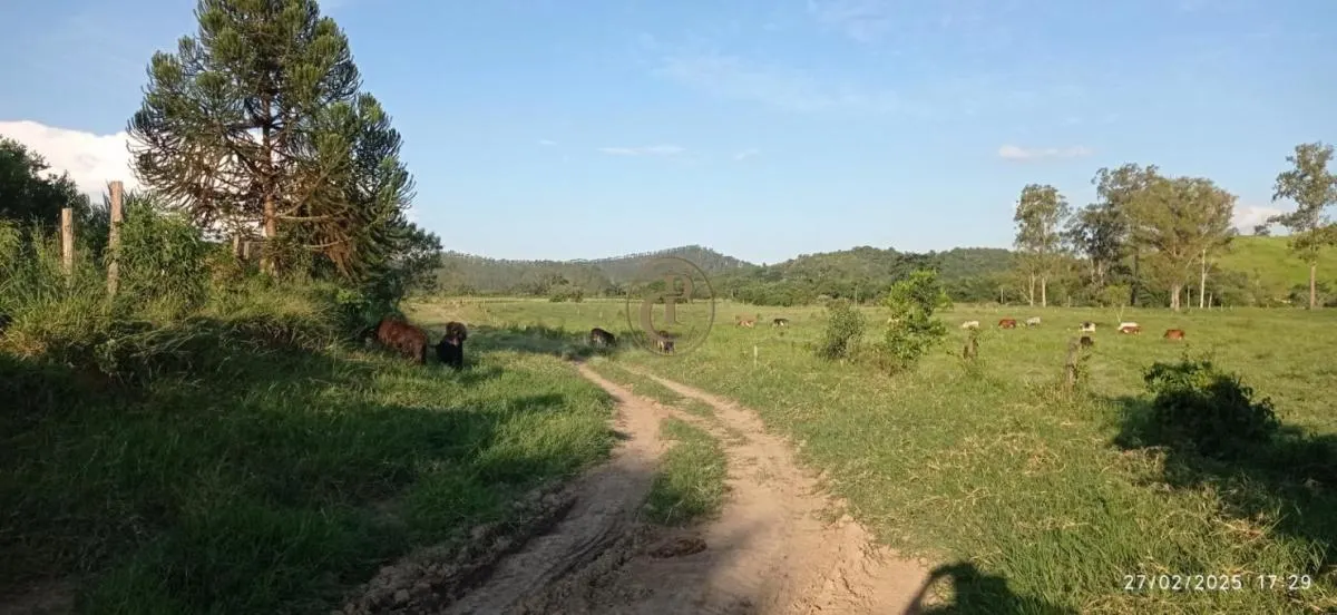 Fazenda à venda de 260 ha em São José dos Campos, SP, Brasil