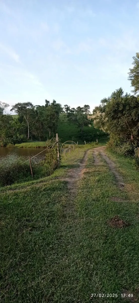 Fazenda à venda de 260 ha em São José dos Campos, SP, Brasil