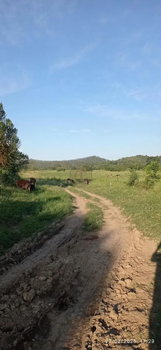 Fazenda à venda de 260 ha em São José dos Campos, SP, Brasil