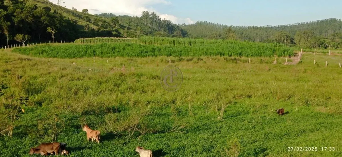 Fazenda à venda de 260 ha em São José dos Campos, SP, Brasil