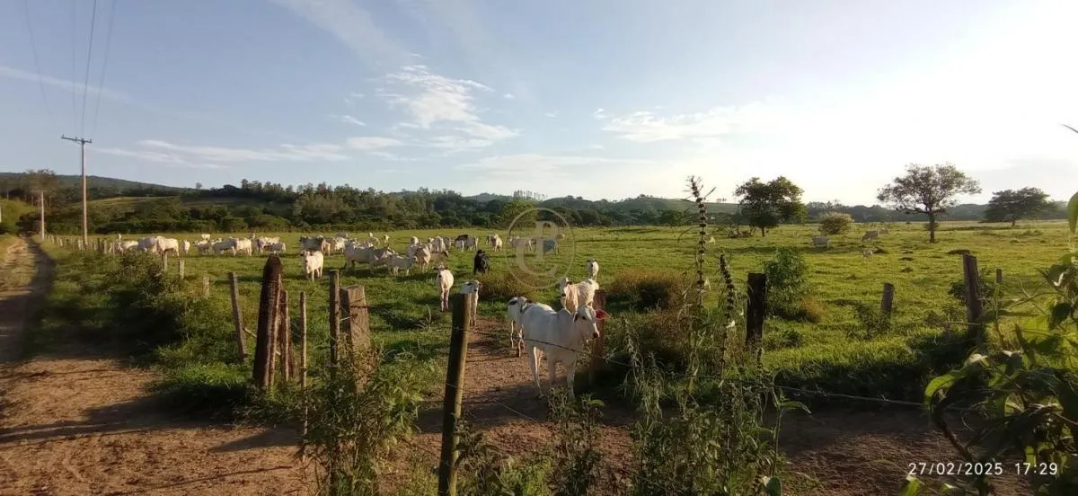 Fazenda à venda de 260 ha em São José dos Campos, SP, Brasil