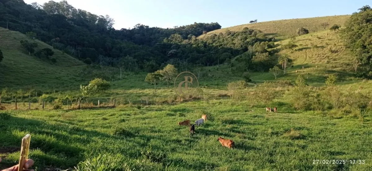 Fazenda à venda de 260 ha em São José dos Campos, SP, Brasil