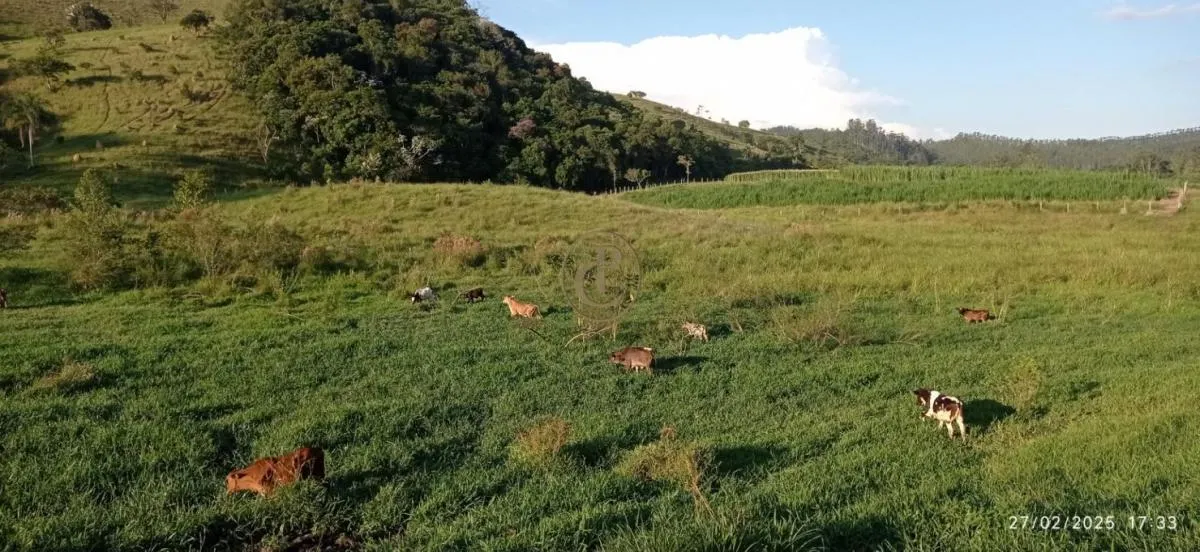Fazenda à venda de 260 ha em São José dos Campos, SP, Brasil