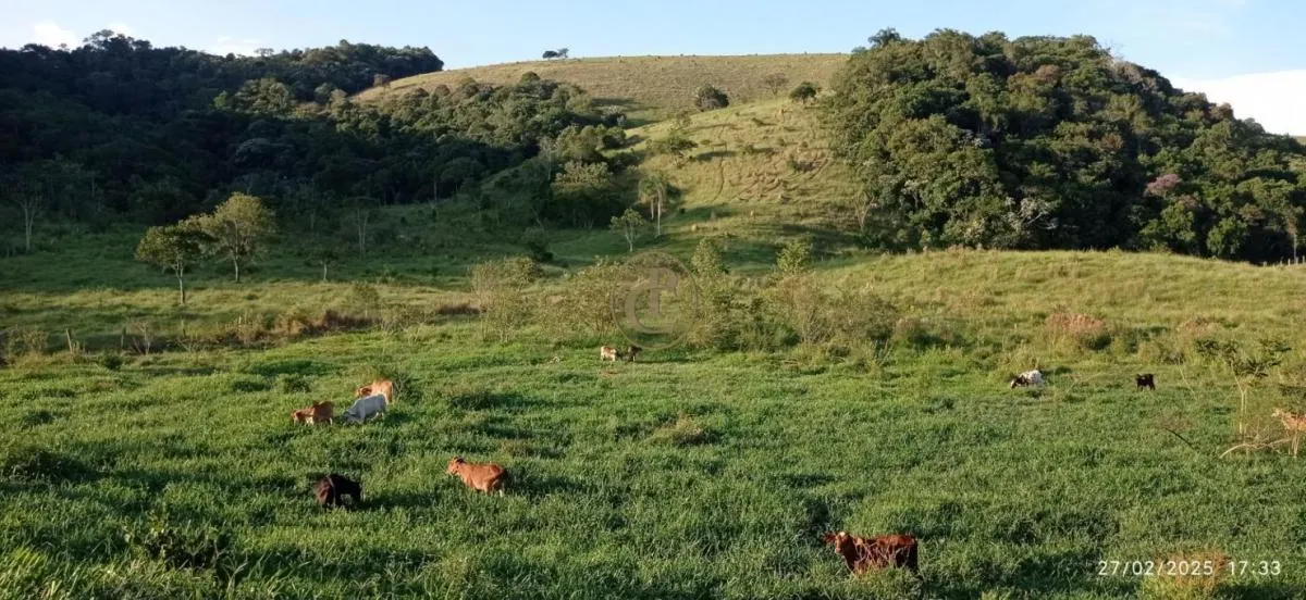 Fazenda à venda de 260 ha em São José dos Campos, SP, Brasil