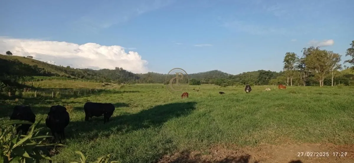 Fazenda à venda de 260 ha em São José dos Campos, SP, Brasil