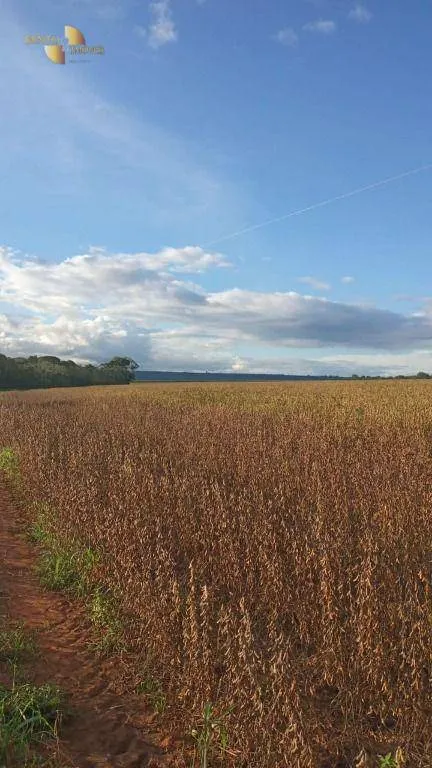 Fazenda à venda de 212 ha em Juscimeira, MT, Brasil