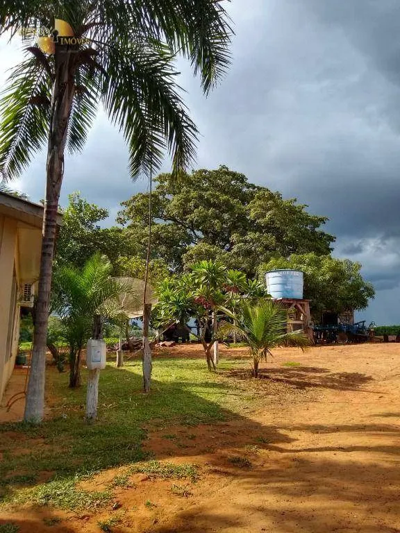 Fazenda à venda de 212 ha em Juscimeira, MT, Brasil
